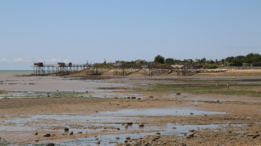 Hotel A la Presqu'île à Angoulins-sur-Mer Extérieur photo